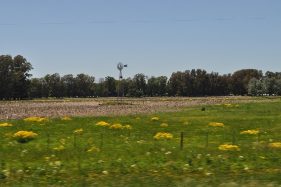 Foto 1/Molinos de Vientos I