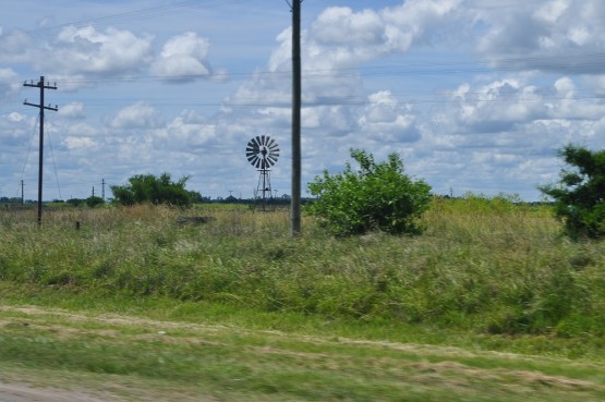 Foto 4/Molinos de Vientos I