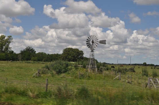 Foto 5/Molinos de Vientos I