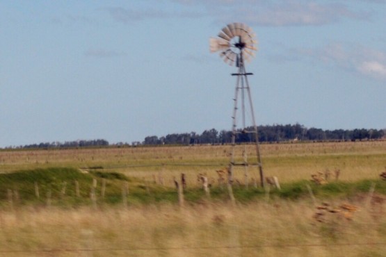 Foto 1/Molinos de Viento II