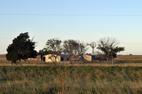 Foto 2/Molinos de Viento II