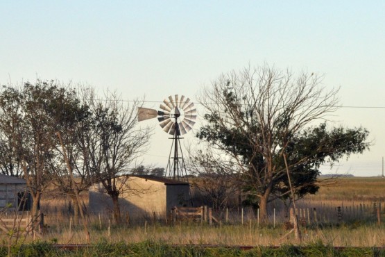 Foto 3/Molinos de Viento II