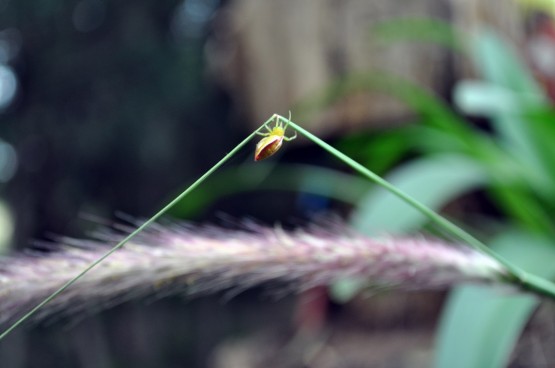 Foto 1/El equilibrista!!!!!!