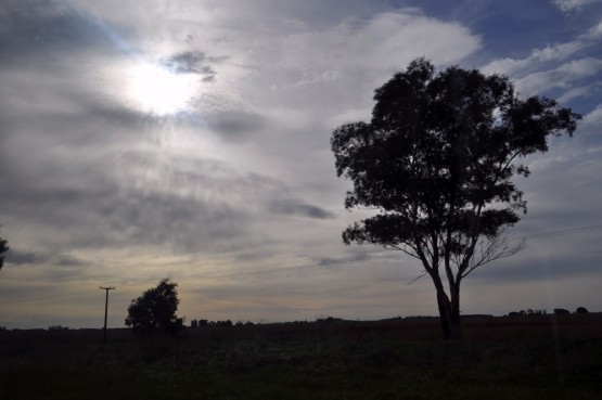 Foto 4/Arboles en Otoo...