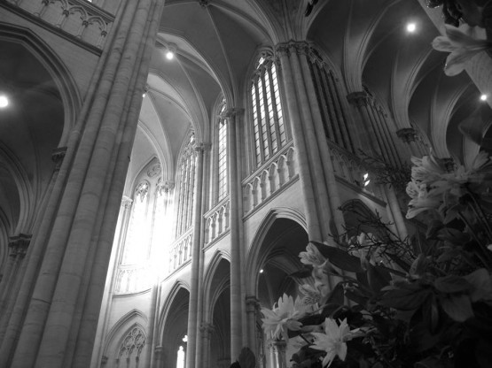 Foto 3/Catedral de la Inmaculada Concepcin-La Plata