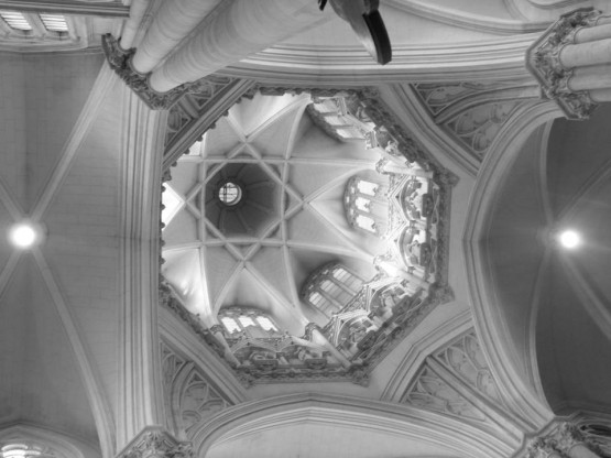 Foto 4/Catedral de la Inmaculada Concepcin-La Plata