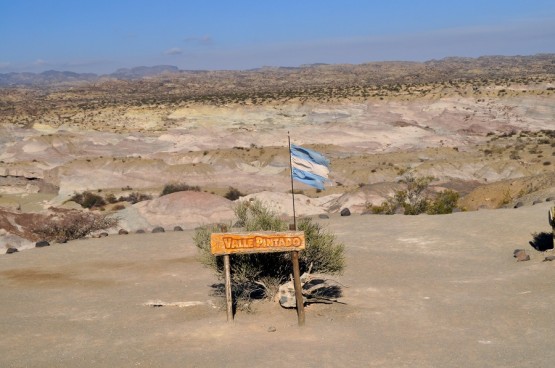 Foto 1/A Mi Bandera !!!