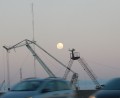 GLTAPyG (Gran Luna tras Autopista Puente y Gras)