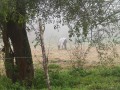 Niebla y caballos `con manta` en Villa Elisa