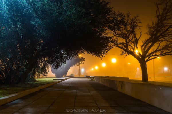 Foto 2/Niebla en mi pueblo