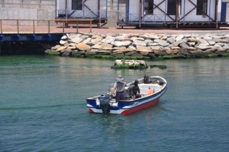 Foto 5/navegando en el puerto de Iquique