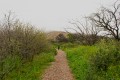 Sierras de Lihuel Calel- La Pampa