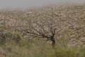 Sierras de Lihuel Calel- La Pampa