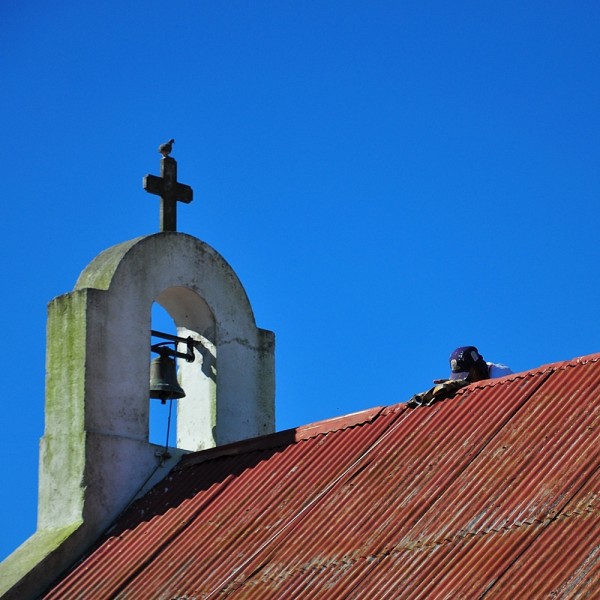 Foto 2/La capilla, la paloma y el pintor