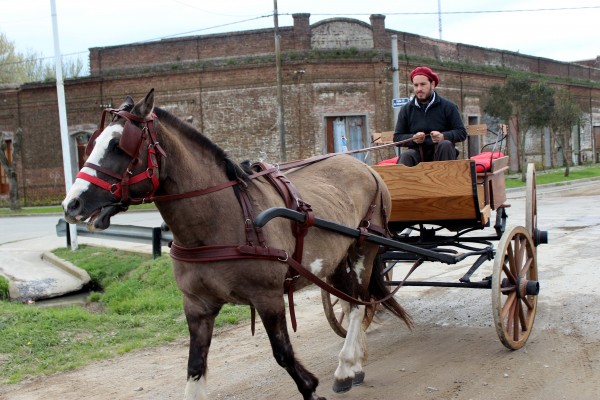 Foto 5/en Gardey