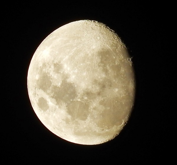 Foto 2/Cuatro noches engordando a la Luna!!!