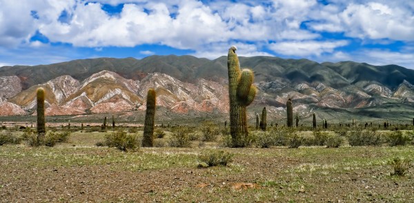 Foto 1/Salta