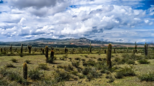 Foto 2/Salta