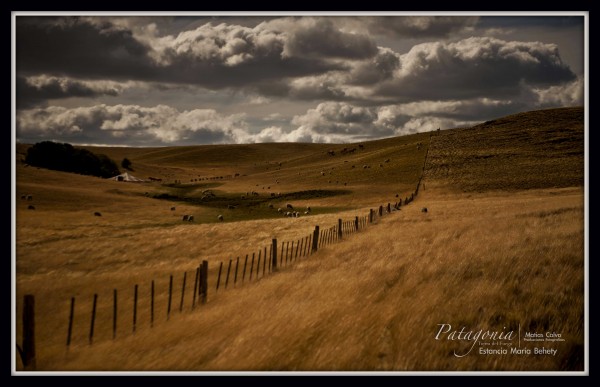 Foto 1/Estancia Maria Behety 2015...