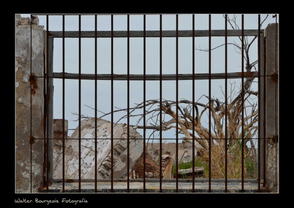 Foto 5/Ventanas con historias