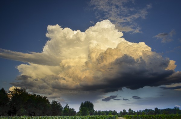 Foto 1/mendoza, valle de uco