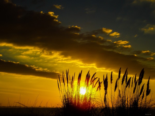 Foto 4/Amanecer de Viernes Santos