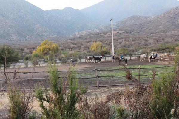 Foto 4/La negativa a ser lazado