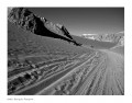 Desierto y volcanes