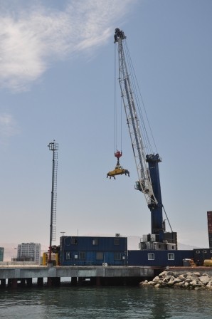 Foto 5/gruas gigantescas