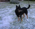 nieve en Sierra de Los Padres