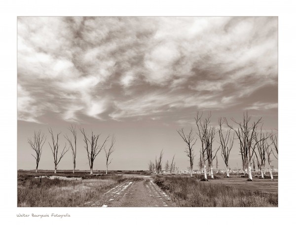 Foto 1/Camino al viejo cementerio