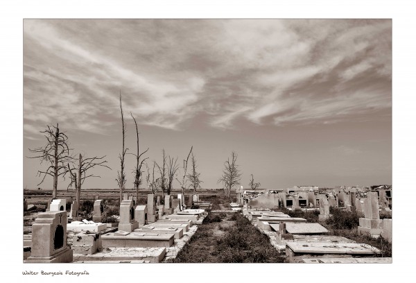 Foto 4/Camino al viejo cementerio