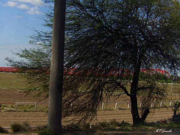 Foto 2/Puente Carretero en Santiago del Estero