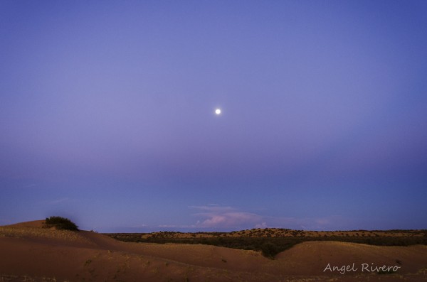 Foto 5/Desierto