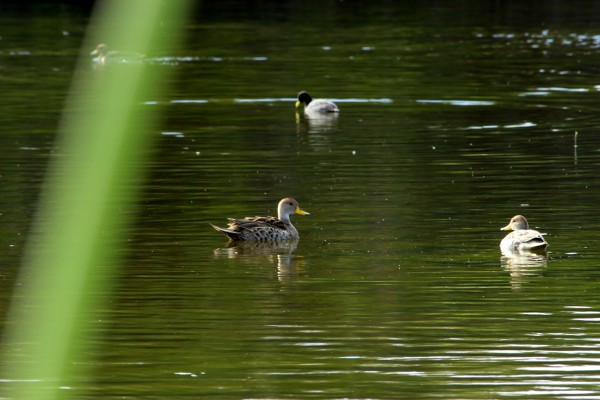 Foto 2/Cuidemos el medioambiente