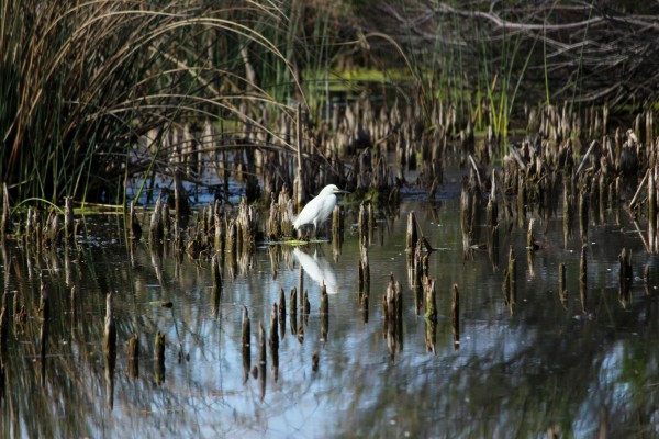 Foto 4/Cuidemos el medioambiente