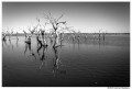 Epecuen