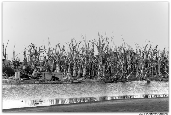 Foto 4/Epecuen