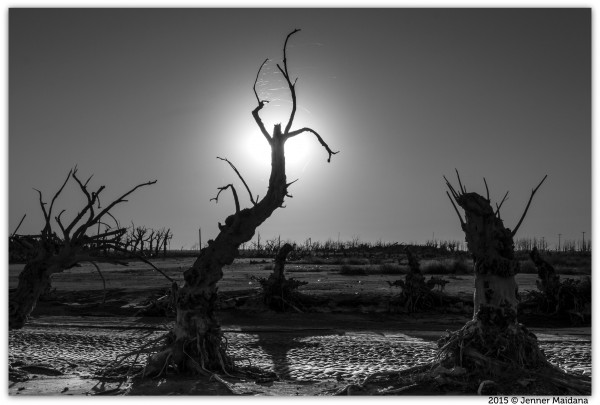 Foto 5/Epecuen