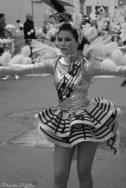 Foto 5/Carnavales