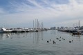 Puerto de Punta del Este. Uruguay