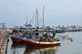 Puerto de Punta del Este. Uruguay