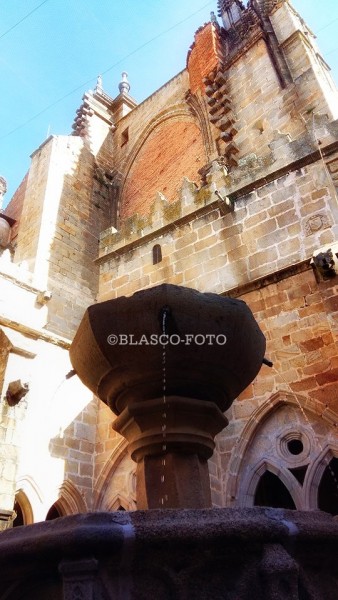 Foto 4/Catedral de Plasencia