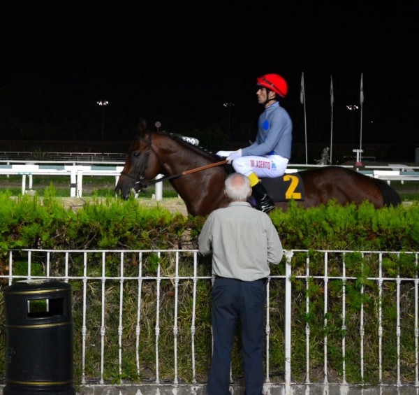 Foto 3/Una Noche en el Hipodromo