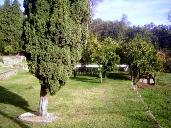 Foto 3/Monasterio de Yuste