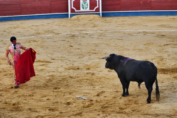 Foto 1/Corrida de toros