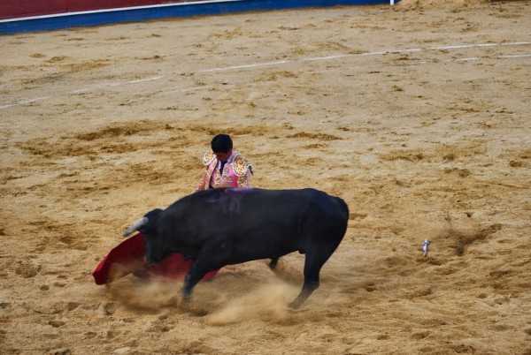 Foto 2/Corrida de toros