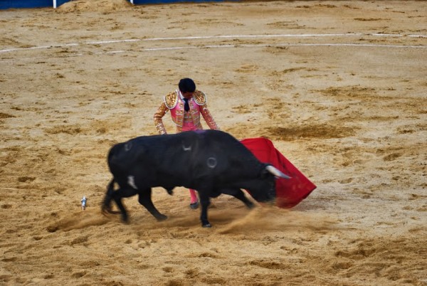 Foto 3/Corrida de toros