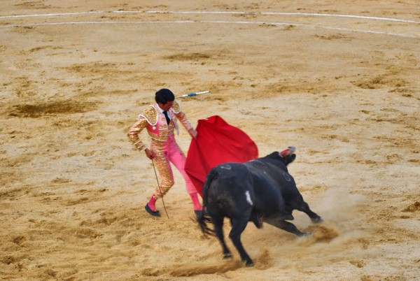 Foto 4/Corrida de toros