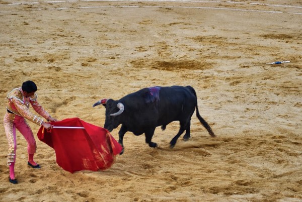 Foto 5/Corrida de toros